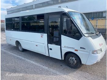 Микроавтобус, Пассажирский фургон IVECO Cacciamali fino 3 posti carrozzelle: фото 1