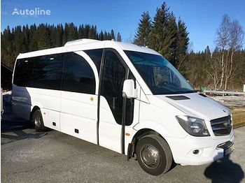 Микроавтобус, Пассажирский фургон MERCEDES-BENZ Sprinter 519cdi: фото 1