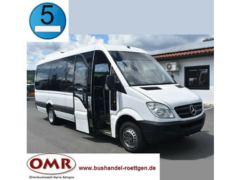 Микроавтобус, Пассажирский фургон Mercedes-Benz 516 CDI Sprinter/Crafter/Master/Klima/Euro 5: фото 1