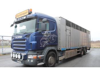 Грузовик для перевозки животных Scania R480 LB 6X2*4 HNB: фото 1
