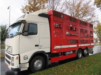 Грузовик для перевозки животных Volvo FH 12: фото 1
