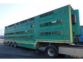 Полуприцеп для перевозки животных Pezzaioli SBA32/U, 3 Stock , Viehtransporter  , Tränkeranlage,: фото 1