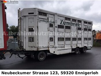 Прицеп для перевозки животных Stehmann 3 Stock 3-achs Anhänger: фото 1