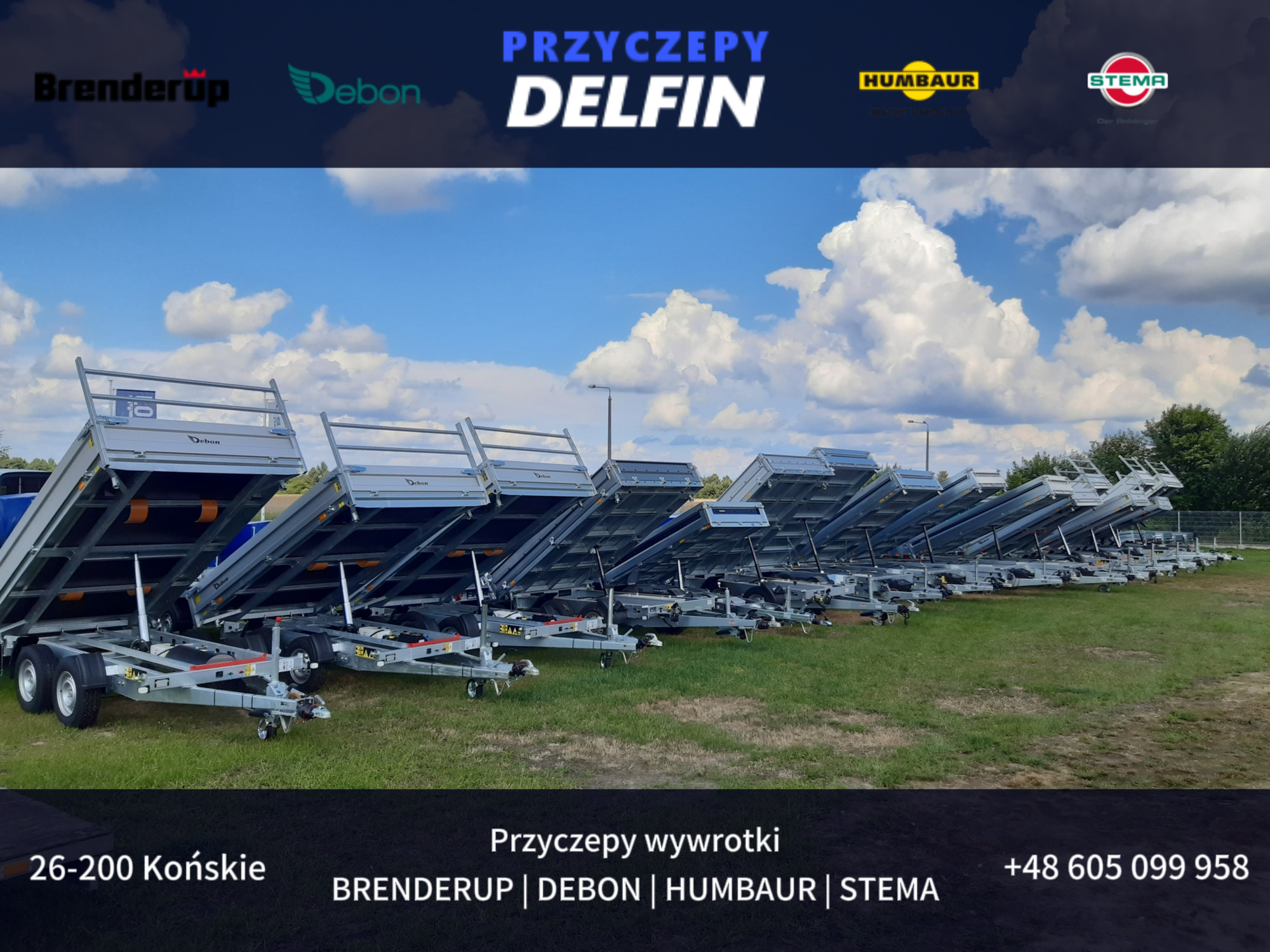 ZPHU DELFIN Gruszkiewicz Andrzej - объявления о продаже undefined: фото 2