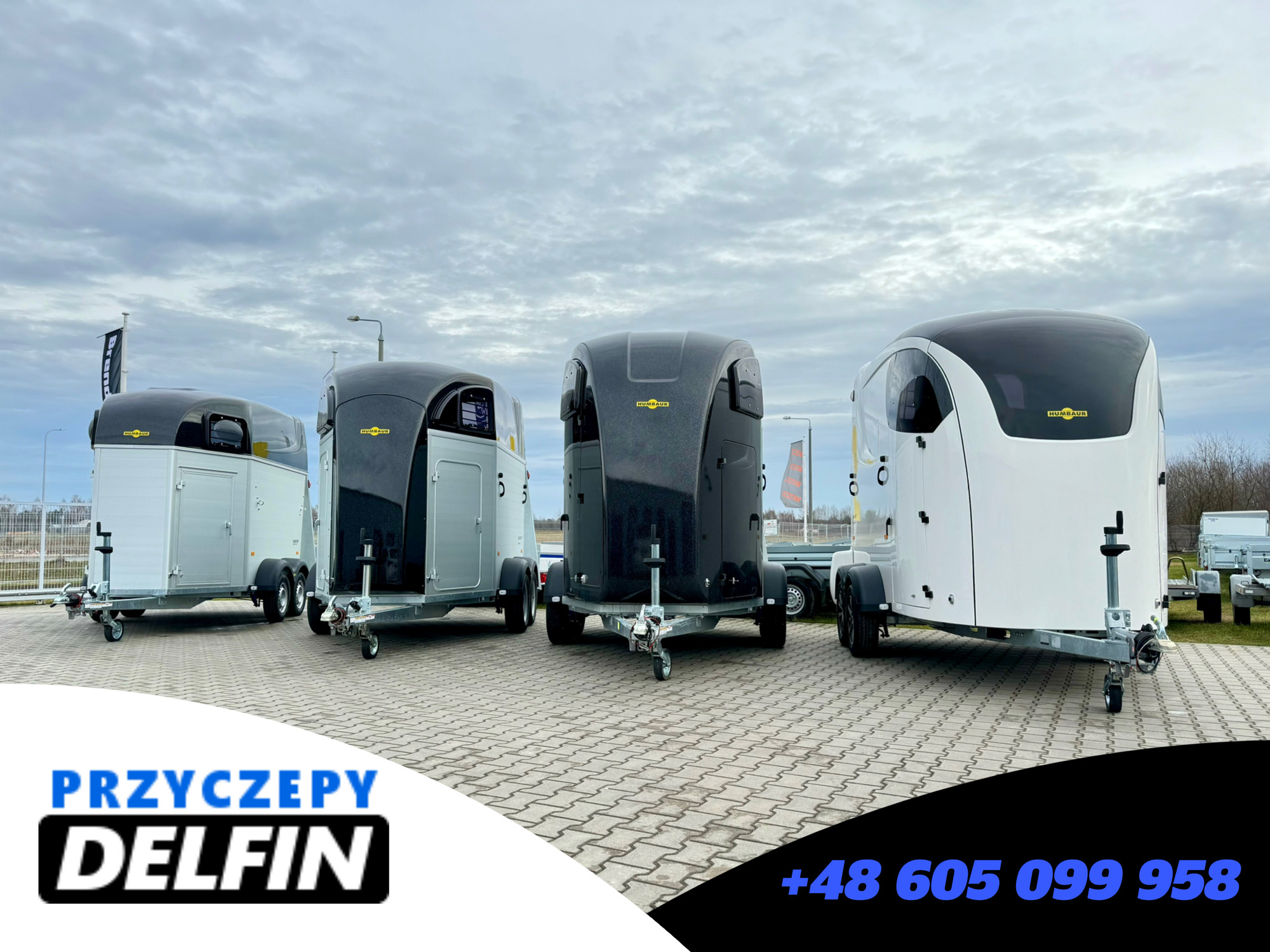 ZPHU DELFIN Gruszkiewicz Andrzej - объявления о продаже undefined: фото 4