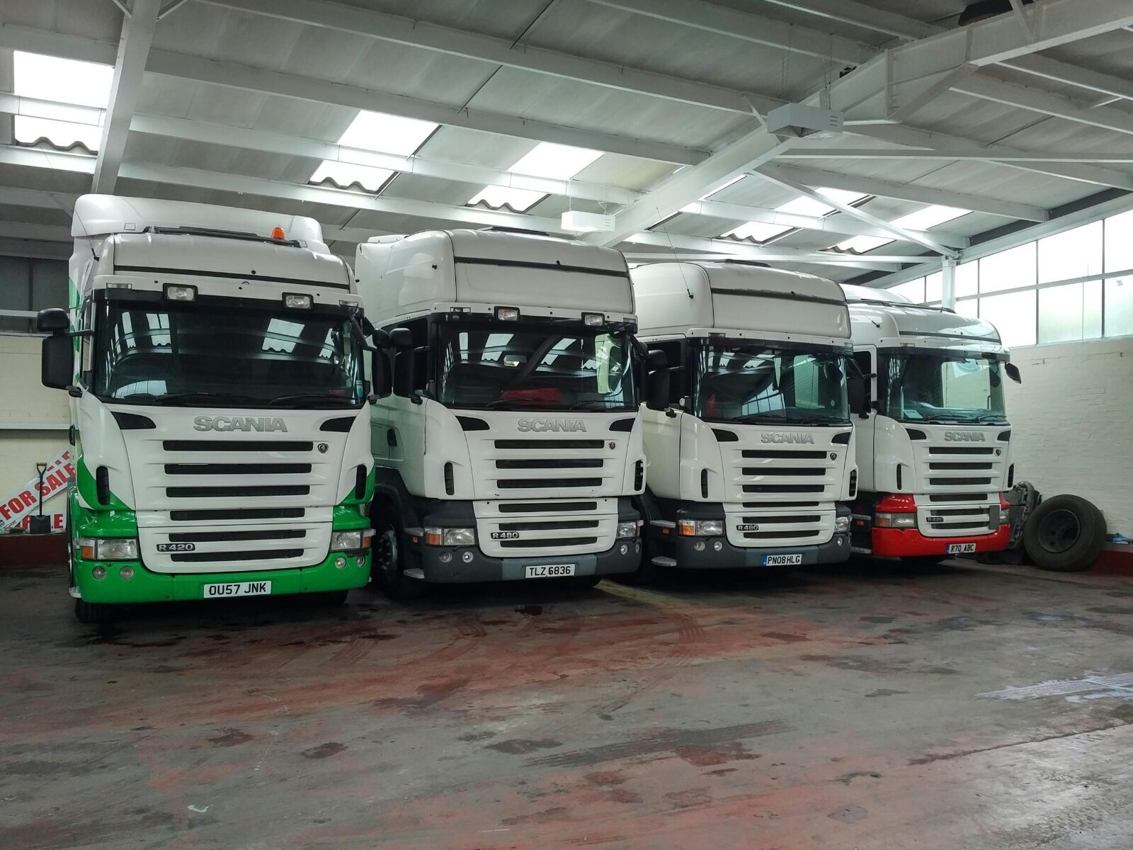 Steer Commercials Sales & Exports Ltd undefined: фото 2