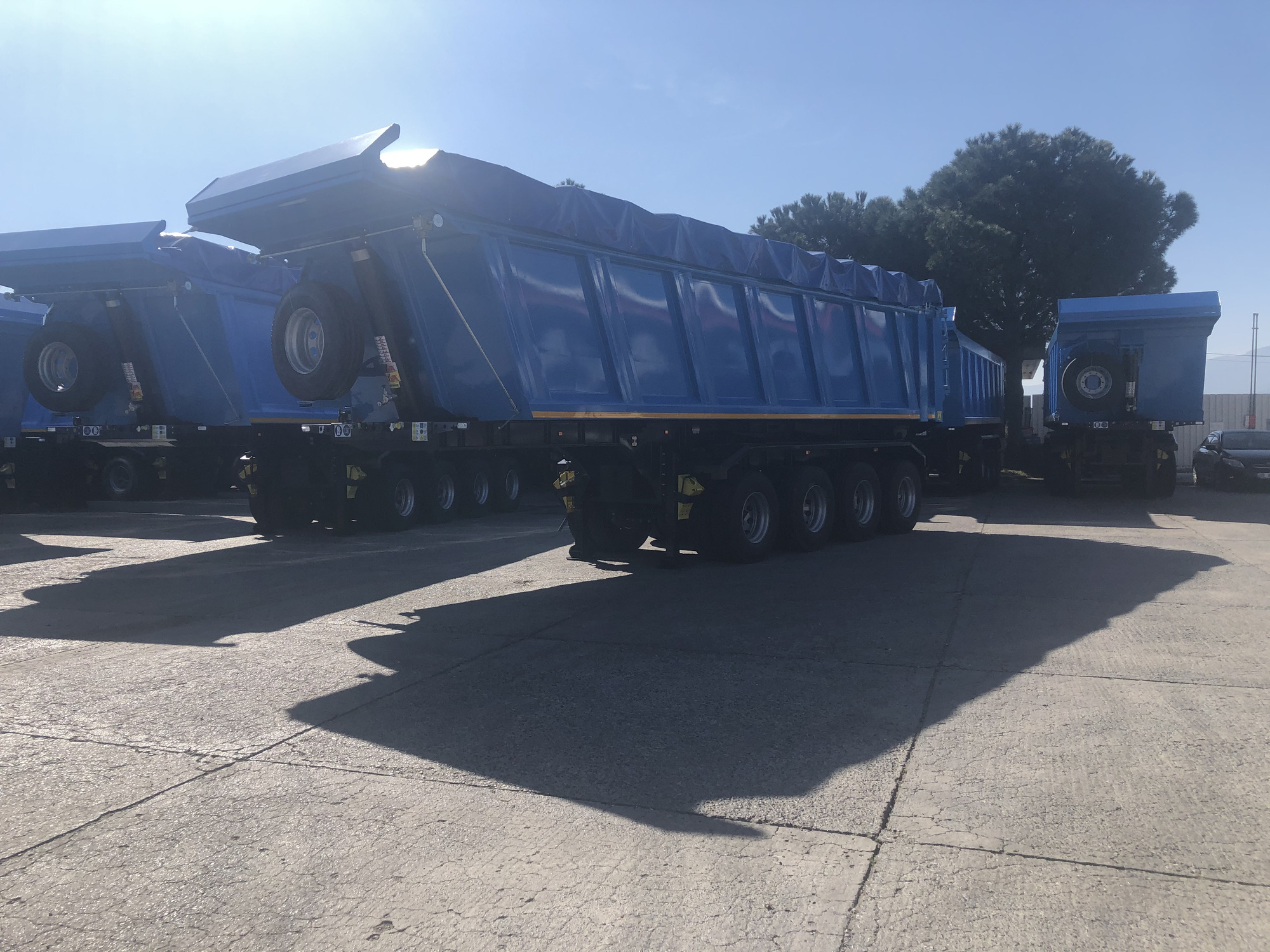 STAR YAGCILAR undefined: фото 19