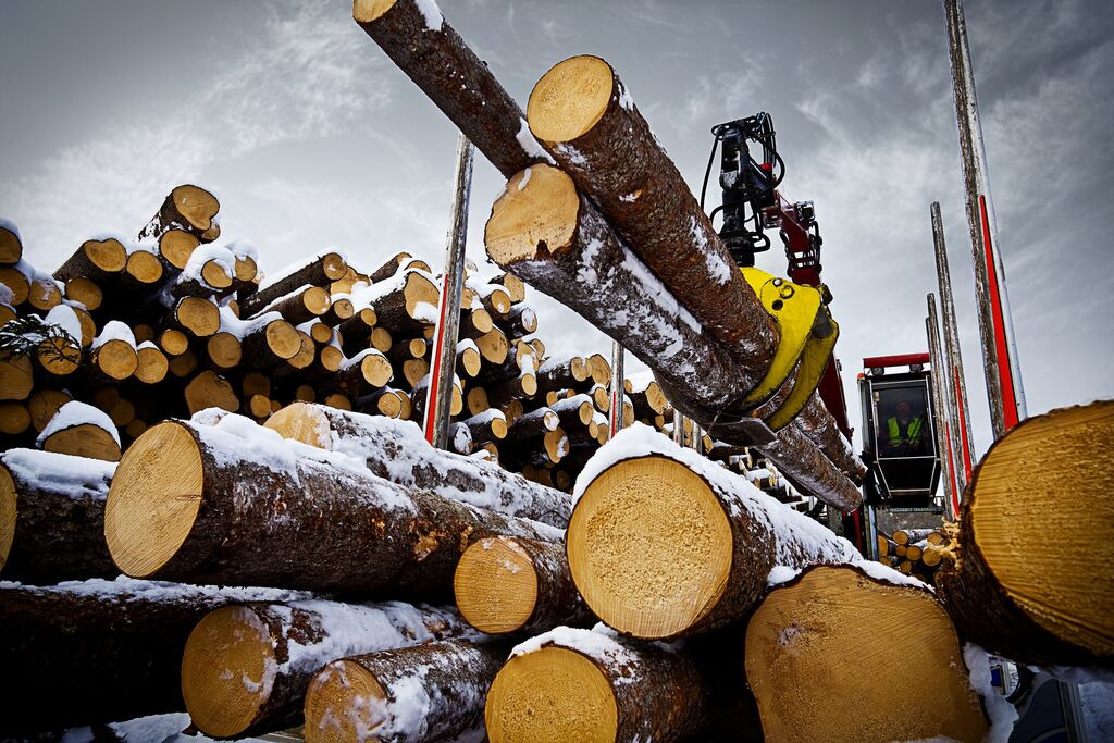 Tractoaredepadure.ro undefined: фото 8