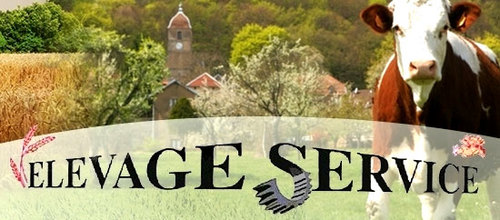 Другая техника dans le cadre de son developpement recherche pour base CENSEAU et TAVAUX