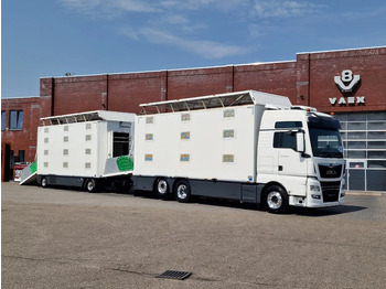 Грузовик для перевозки животных MAN TGX