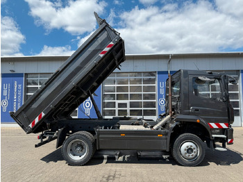 Mercedes-Benz ATEGO 1530 4x4 Euro 6 Meiller Kipper в лизинг Mercedes-Benz ATEGO 1530 4x4 Euro 6 Meiller Kipper: фото 4