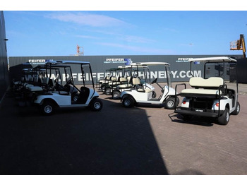 Гольф-кар BRINGO DG-C2 Valid Inspection, *Guarantee! Dutch R: фото 4