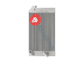 Радиатор DIECI