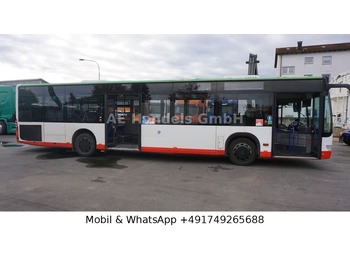Городской автобус Mercedes-Benz Citaro *EEV/33+1/65-Stehplätze/Dachklima: фото 2