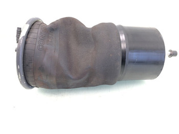 Воздушная подвеска DAF