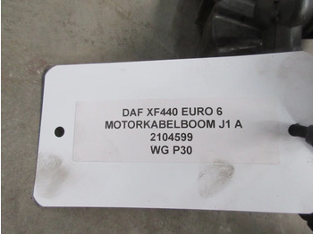 Двигатель и запчасти для Грузовиков DAF XF106 1953286 / 2104599 MOTORKABELBOOM J1 A EURO 6: фото 3
