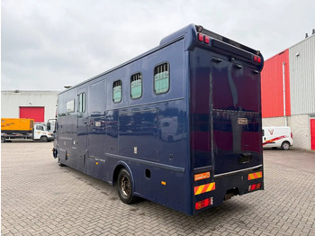 Коневоз Mercedes-Benz Atego 1223 / ENGINE RUNNING / ONLY:159450 KM / HORSETRUCK / HEATED BOX / WATERTANK / LIVING ROOM / EURO-2 / MANUAL / 1998: фото 3
