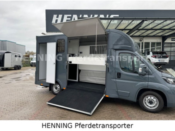Коневоз Fiat Ducato *NEUWAGEN* ca.1100 kg Nutzlast: фото 4