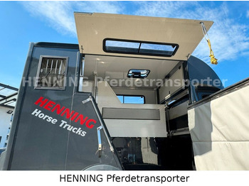 Коневоз, Фургон Renault Master 3 - Sitzer *SUPER KURZ*: фото 5