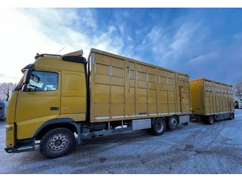 Грузовик для перевозки животных VOLVO FH 420