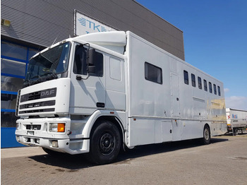 Коневоз DAF 95 350