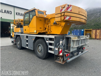Кран 2009 Liebherr LTM1030-2,1 - Mobilkran: фото 4