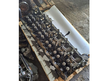 Головка блока RENAULT Magnum