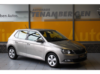 Легковой автомобиль ŠKODA