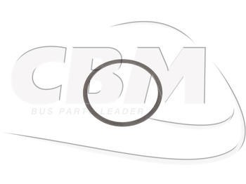 Запчасти IRISBUS