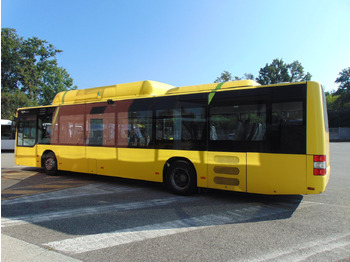 N.2 MAN A21 CNG – Anno 2010 в лизинг N.2 MAN A21 CNG – Anno 2010: фото 4