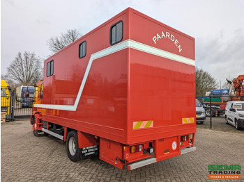 Iveco Tector ML120E24D 4x2 Euro3 DubbelCabine - Paardenwagen 3-Paards - Kleedruimte - Hydraulische klep- TOP! в лизинг Iveco Tector ML120E24D 4x2 Euro3 DubbelCabine - Paardenwagen 3-Paards - Kleedruimte - Hydraulische klep- TOP!: фото 4 Iveco Tector ML120E24D 4x2 Euro3 DubbelCabine - Paardenwagen 3-Paards - Kleedruimte - Hydraulische klep- TOP! в лизинг Iveco Tector ML120E24D 4x2 Euro3 DubbelCabine - Paardenwagen 3-Paards - Kleedruimte - Hydraulische klep- TOP!: фото 4