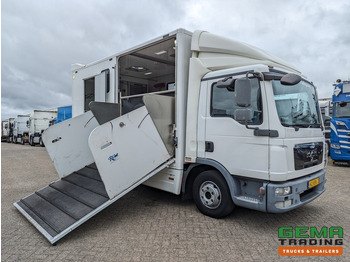 Коневоз MAN TGL 12.250 4x2 Euro5 EEV RC HorseTruck - 2a3 Paards - 135.000km - MARGE (V821): фото 3