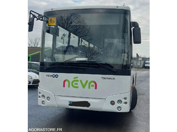 Школьный автобус TEMSA