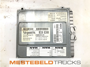 Электрическая система MAN M2000