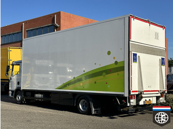 Рефрижератор MAN TGL 8 180 - THERMOKING - THEO MULDER FLOWER TRUCK: фото 4