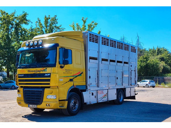 Грузовик для перевозки животных DAF XF