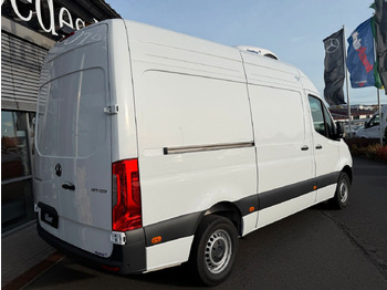 Фургон-рефрижератор Mercedes-Benz Sprinter 317 CDI Frischdienst Fahr-/Standkühlung: фото 4