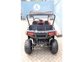 Новый Гольф-кар Wextrem UTV-ATV 200Pro: фото 4