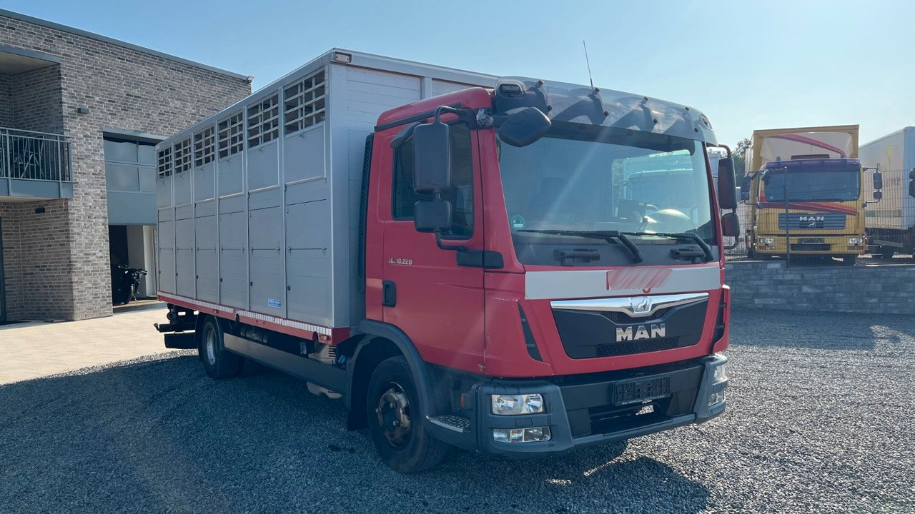 MAN TGL 10.220 Viehtransporter Rampe Trennwände - Коневоз: фото 3 MAN TGL 10.220 Viehtransporter Rampe Trennwände - Коневоз: фото 3