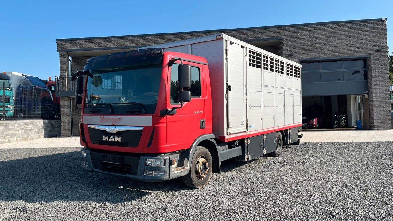 MAN TGL 10.220 Viehtransporter Rampe Trennwände - Коневоз: фото 2 MAN TGL 10.220 Viehtransporter Rampe Trennwände - Коневоз: фото 2