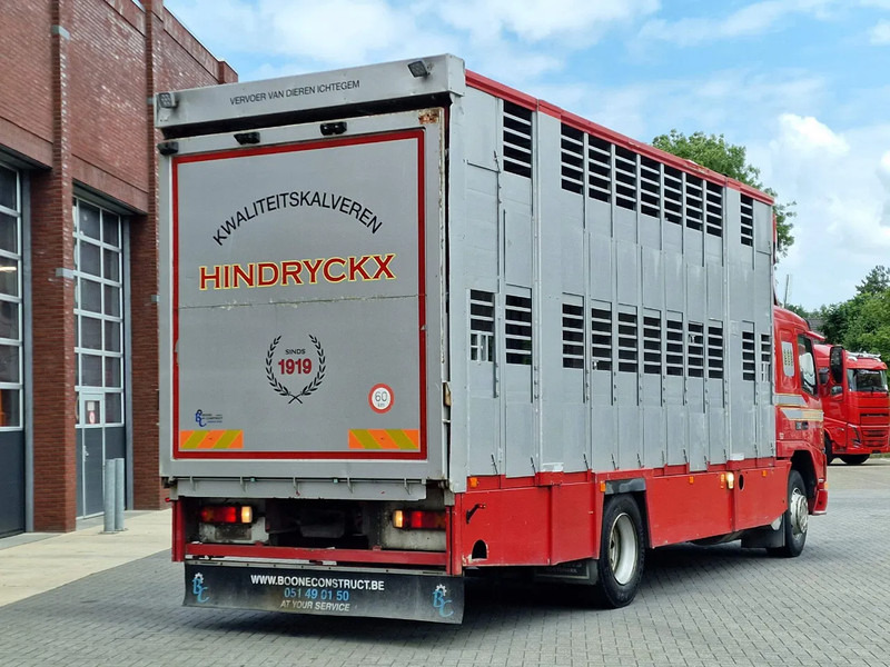 Грузовик для перевозки животных Volvo FM 250 4x- Livestock 2 deck - Lifting floors - Loadlift - Manual gearbox: фото 9
