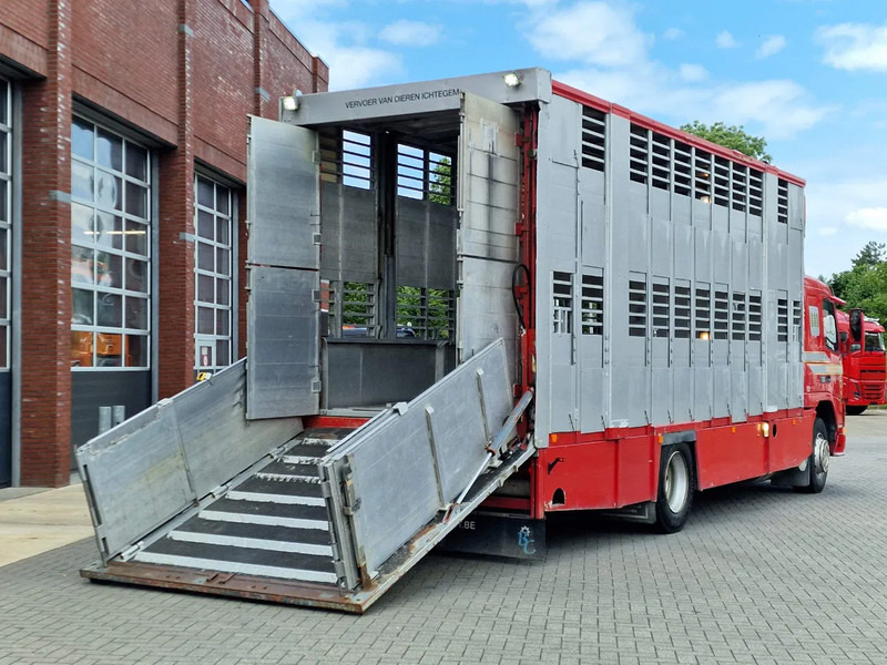 Грузовик для перевозки животных Volvo FM 250 4x- Livestock 2 deck - Lifting floors - Loadlift - Manual gearbox: фото 10