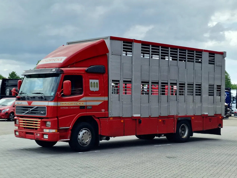 Volvo FM 250 4x- Livestock 2 deck - Lifting floors - Loadlift - Manual gearbox - Грузовик для перевозки животных: фото 3 Volvo FM 250 4x- Livestock 2 deck - Lifting floors - Loadlift - Manual gearbox - Грузовик для перевозки животных: фото 3