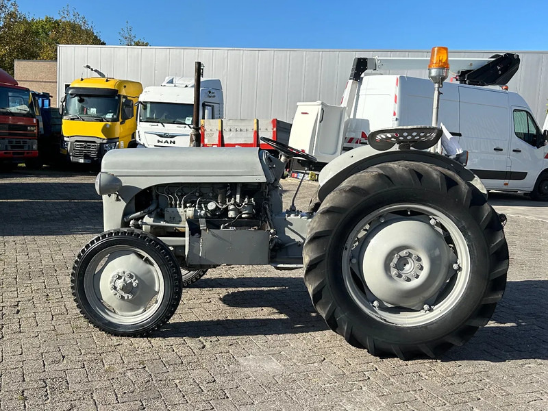 Diversen FERGUSON tractor - Трактор: фото 1 Diversen FERGUSON tractor - Трактор: фото 1