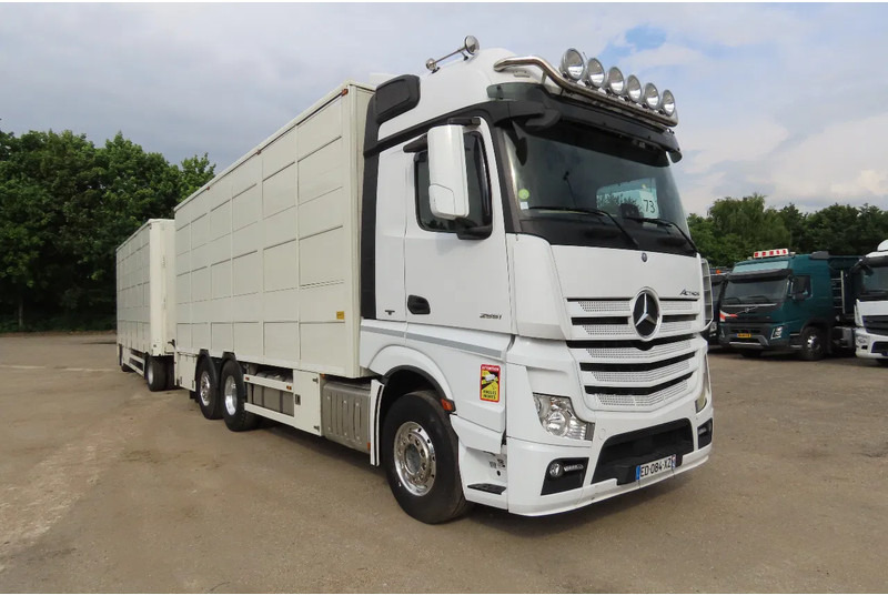 Mercedes-Benz Actros 2551 BERDEX 3 decks, All options + Berdex 12/ 2007 - Грузовик для перевозки животных: фото 1 Mercedes-Benz Actros 2551 BERDEX 3 decks, All options + Berdex 12/ 2007 - Грузовик для перевозки животных: фото 1