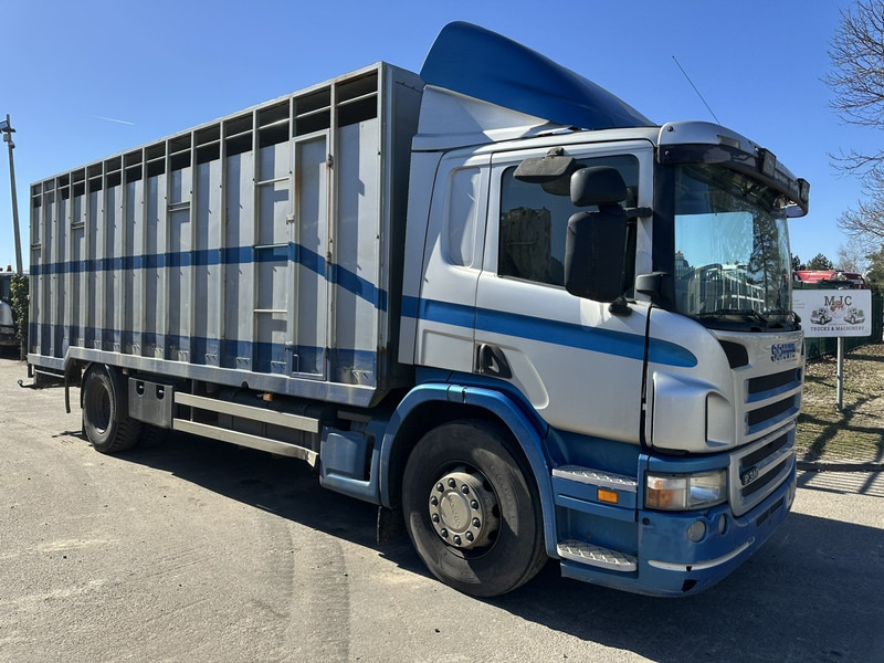 Scania P310 4x2 ANIMAL TRANSPORT - ALU BOX 7m - MANUAL - AIR SUSPENSION - A/C - BELGIAN TRUCK - Грузовик для перевозки животных: фото 1 Scania P310 4x2 ANIMAL TRANSPORT - ALU BOX 7m - MANUAL - AIR SUSPENSION - A/C - BELGIAN TRUCK - Грузовик для перевозки животных: фото 1