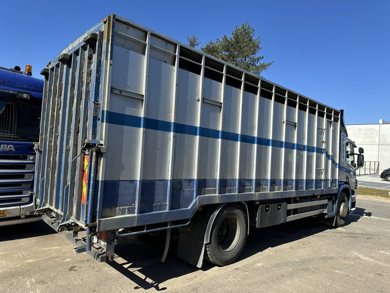 Scania P310 4x2 ANIMAL TRANSPORT - ALU BOX 7m - MANUAL - AIR SUSPENSION - A/C - BELGIAN TRUCK - Грузовик для перевозки животных: фото 4 Scania P310 4x2 ANIMAL TRANSPORT - ALU BOX 7m - MANUAL - AIR SUSPENSION - A/C - BELGIAN TRUCK - Грузовик для перевозки животных: фото 4