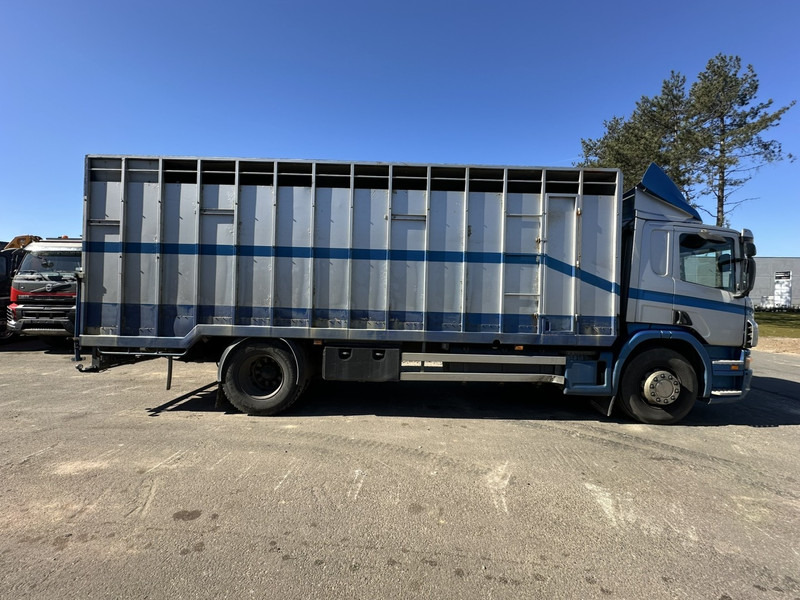 Scania P310 4x2 ANIMAL TRANSPORT - ALU BOX 7m - MANUAL - AIR SUSPENSION - A/C - BELGIAN TRUCK - Грузовик для перевозки животных: фото 3 Scania P310 4x2 ANIMAL TRANSPORT - ALU BOX 7m - MANUAL - AIR SUSPENSION - A/C - BELGIAN TRUCK - Грузовик для перевозки животных: фото 3