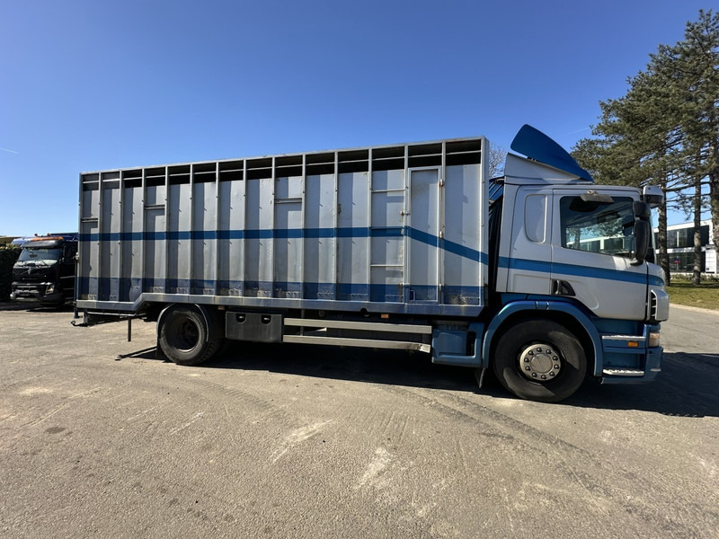 Scania P310 4x2 BOX 7m - MANUAL - AIR SUSPENSION - A/C - BELGIAN TRUCK - Грузовик с закрытым кузовом: фото 2 Scania P310 4x2 BOX 7m - MANUAL - AIR SUSPENSION - A/C - BELGIAN TRUCK - Грузовик с закрытым кузовом: фото 2