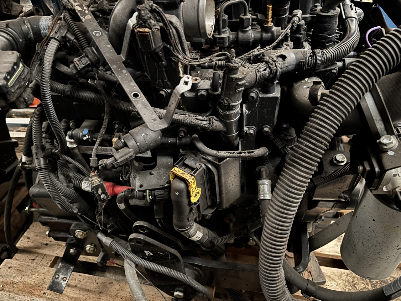 DEUTZ 3.6 75 KM (55.4 kW) Silnik CZĘŚCI Manitou MT1033TCD3.6L04 MT 1033 TCD 3.6 L04 C4DI90 - Двигатель и запчасти для Строительной техники: фото 4 DEUTZ 3.6 75 KM (55.4 kW) Silnik CZĘŚCI Manitou MT1033TCD3.6L04 MT 1033 TCD 3.6 L04 C4DI90 - Двигатель и запчасти для Строительной техники: фото 4